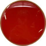 Tempo-MVP-Foundation Disc Golf