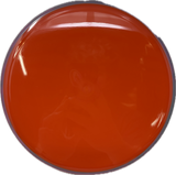 Tempo-MVP-Foundation Disc Golf