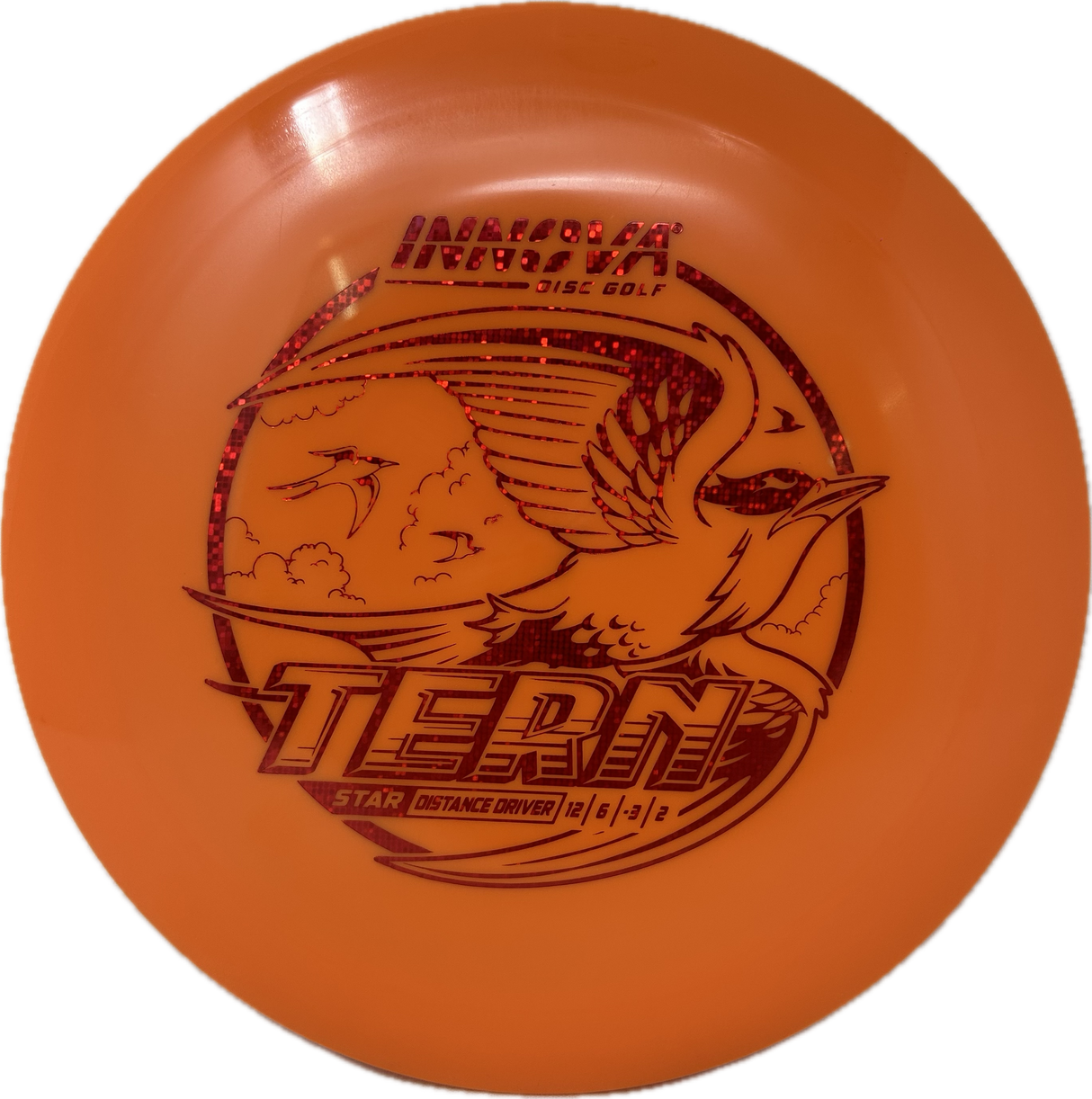 Tern-Innova-Foundation Disc Golf
