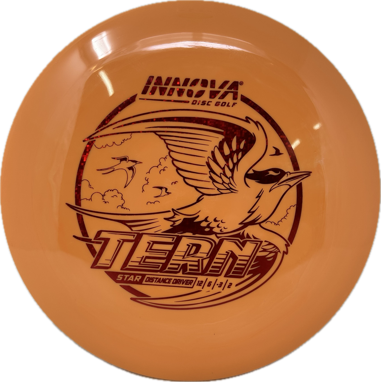 Tern-Innova-Foundation Disc Golf