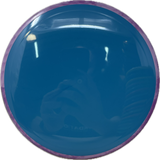 Balance-Discs-Foundation Disc Golf