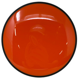 Detour-Disc-Foundation Disc Golf