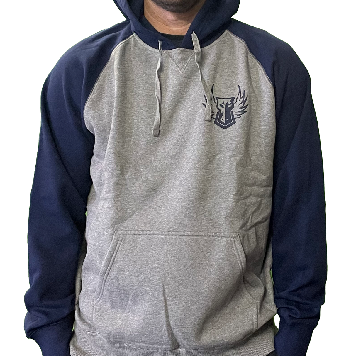 Darkhorse Color-Block Pullover Hoodie