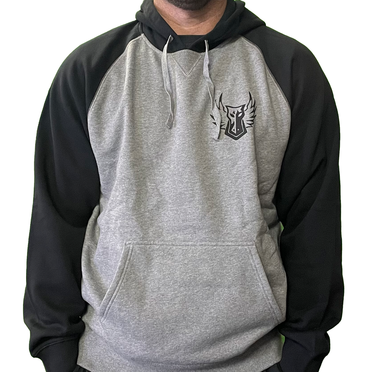 Darkhorse Color-Block Pullover Hoodie