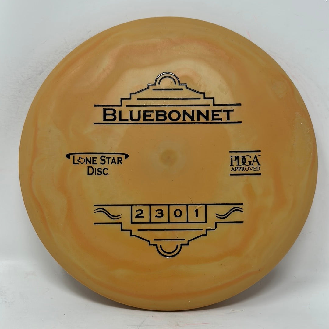 Bluebonnet-Lonestar-Foundation Disc Golf