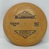 Bluebonnet-Lonestar-Foundation Disc Golf