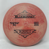 Bluebonnet-Lonestar-Foundation Disc Golf