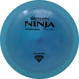 Ninja-Gateway-Foundation Disc Golf